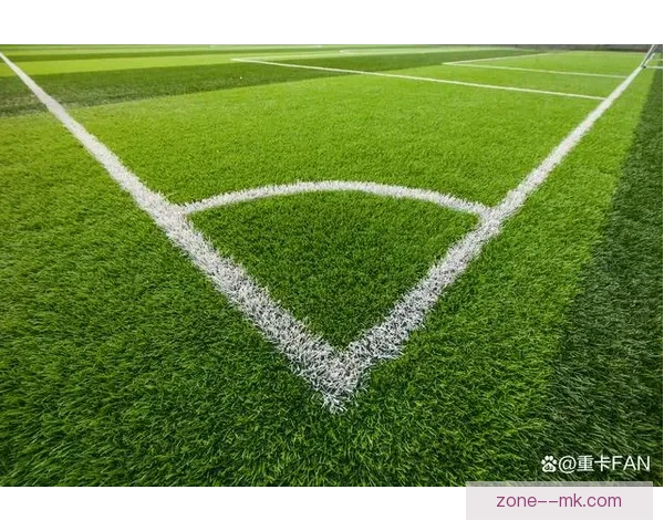 世界杯官方确定绿色为主题色，彰显环保理念与赛事活力融合新形象